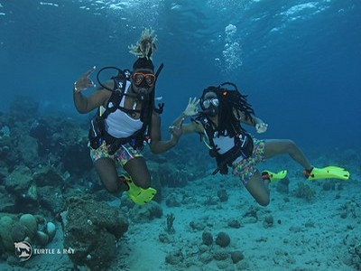 refresher diving skills scuba diving