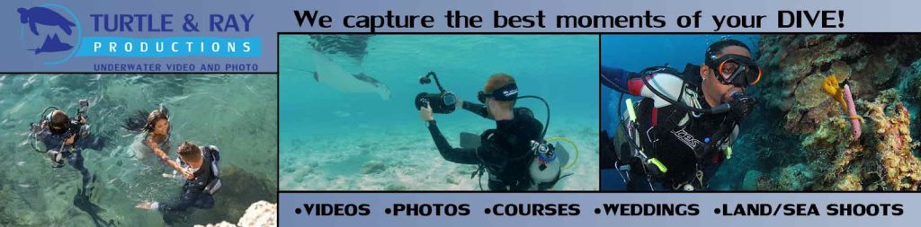 underwater photography videography